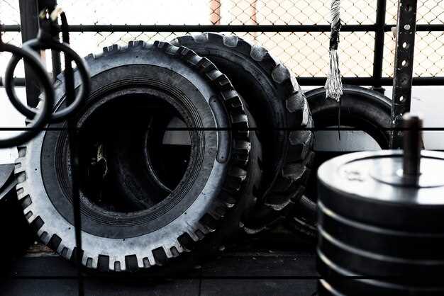 Assessing Tire Grip for Different Driving Styles and Environments